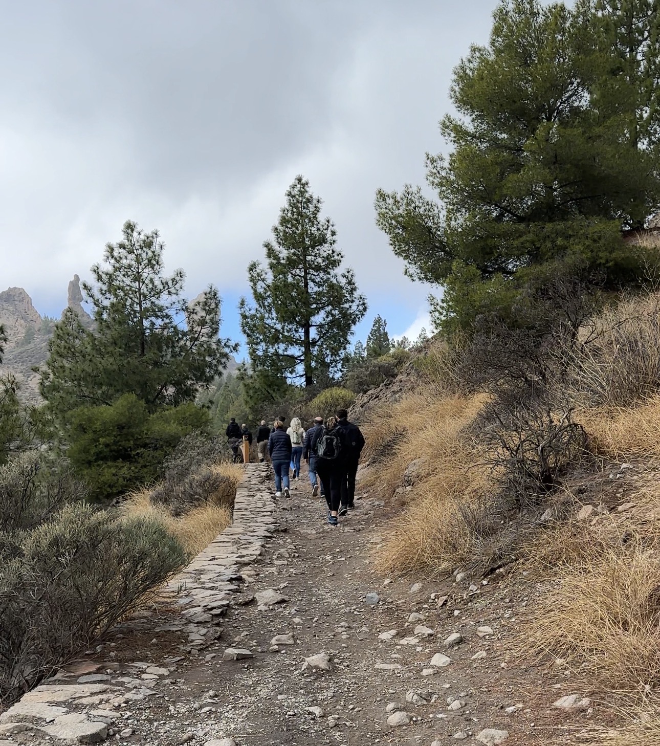 Cesta k Roque Nublo